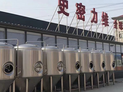 墨江精酿啤酒设备厂—如何判断精酿啤酒设备的密封件需要更换？